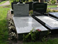 Enkel Graf 40